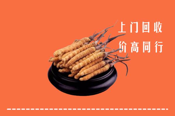 高价求购：郑州市中原区回收散虫草