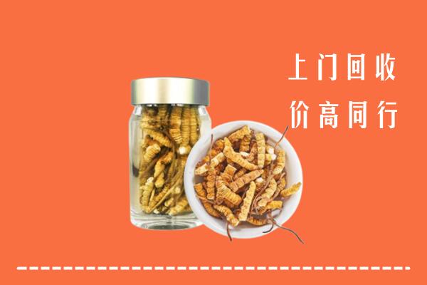 郑州市中原区高价回收冬虫夏草